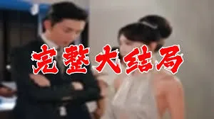 《战皇的美女夫人》剧情深度解析